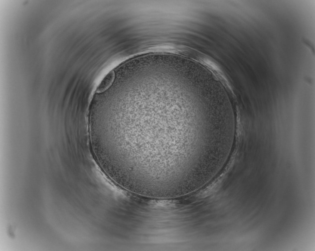 X0000101970808200807251210