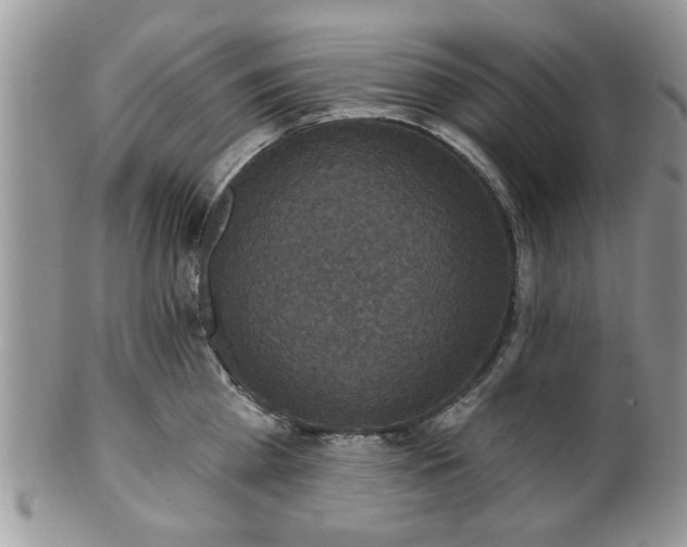 X0000101970809200807251210