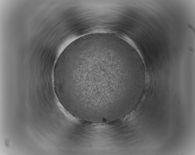 X0000101970811200807251210