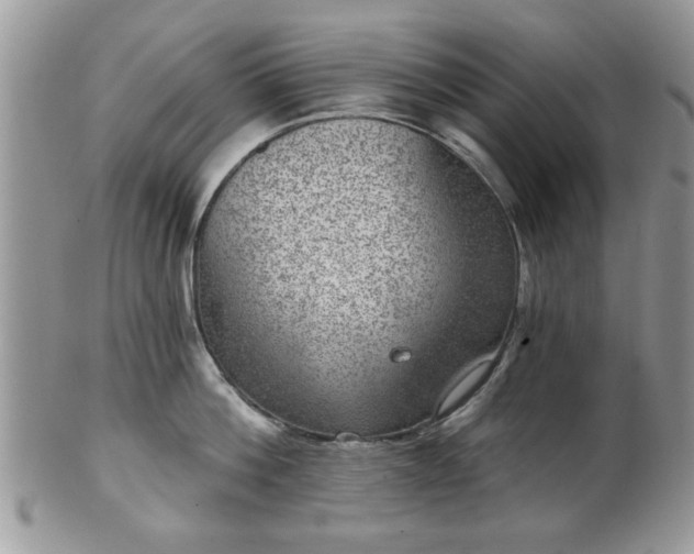 X0000101970812200807251210