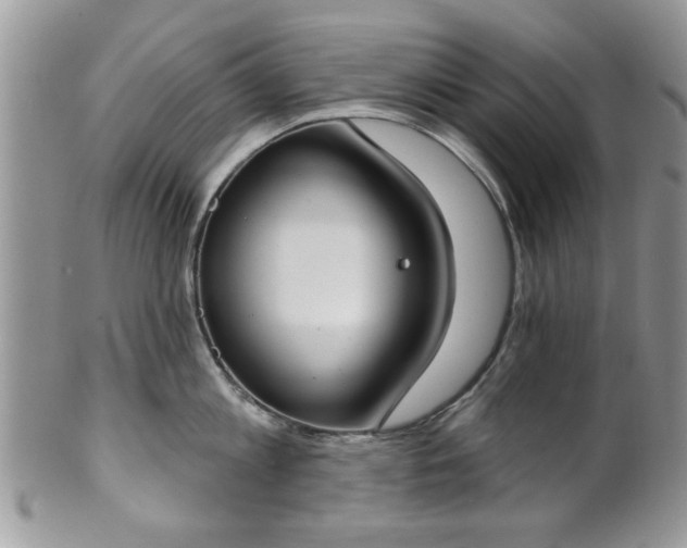 X0000101970813200807251210