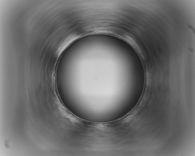 X0000101970814200807251210