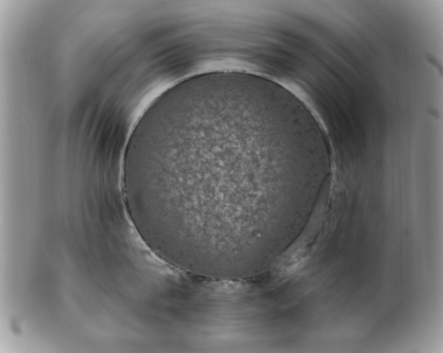 X0000101970815200807251210