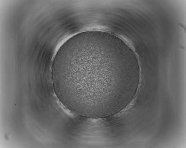 X0000101970816200807251210