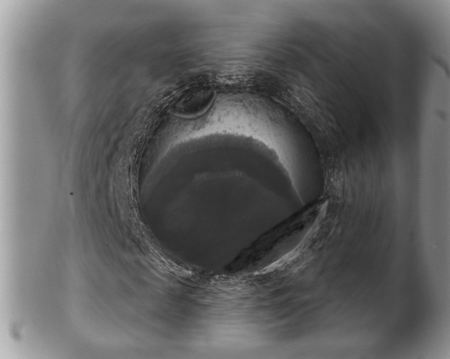 X0000101970817200807251209