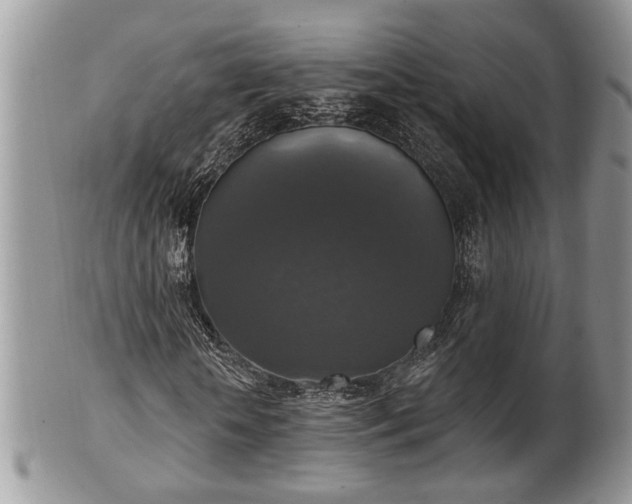 X0000101970818200807251209