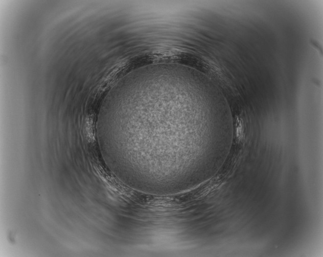 X0000101970819200807251209