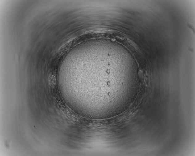 X0000101970821200807251209