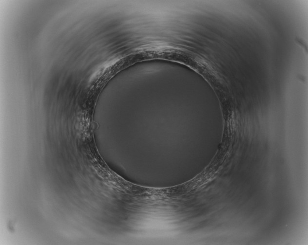 X0000101970822200807251209