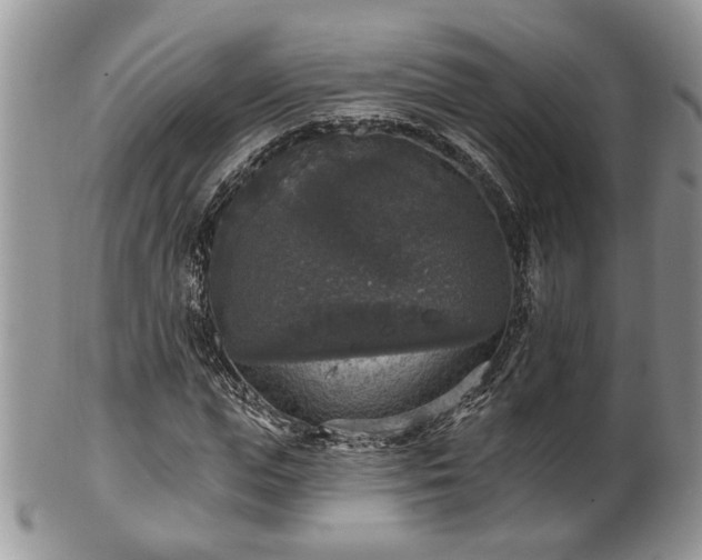 X0000101970823200807251209