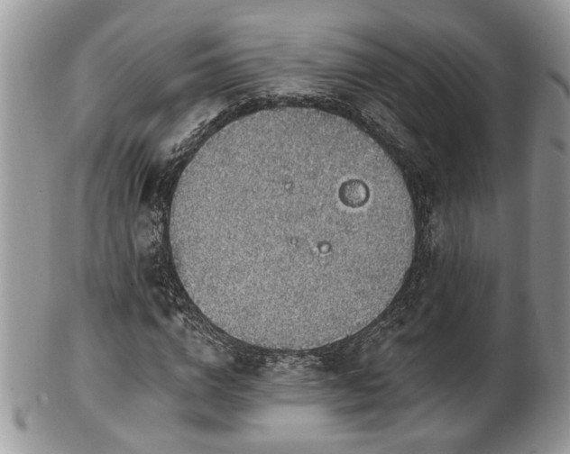 X0000101970824200807251209