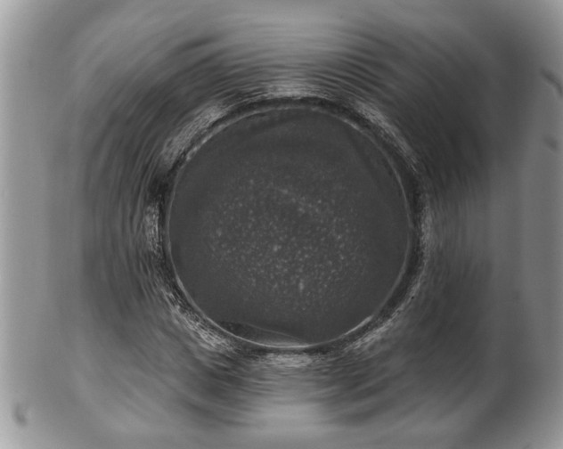 X0000101970825200807251209
