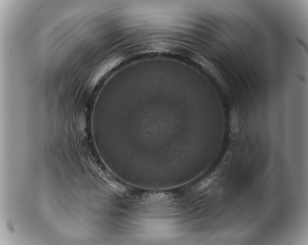X0000101970826200807251209