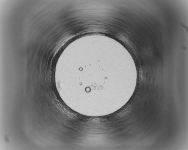 X0000101970828200807251209