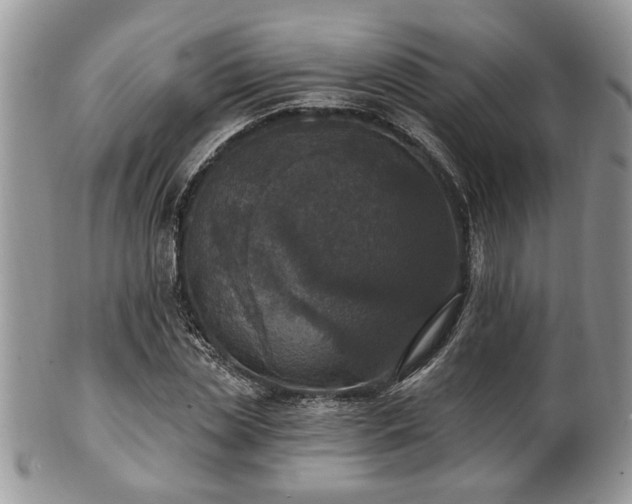 X0000101970829200807251209