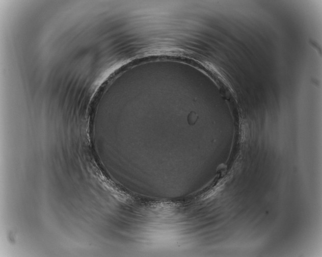 X0000101970830200807251209