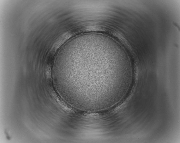 X0000101970833200807251209