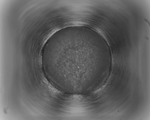 X0000101970835200807251209