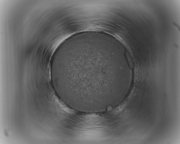 X0000101970838200807251209