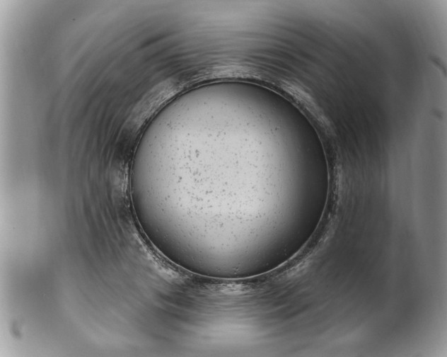 X0000101970841200807251209