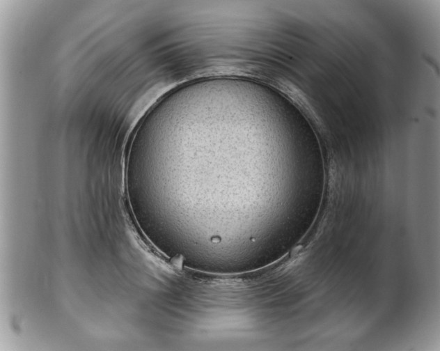 X0000101970844200807251209