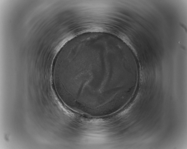 X0000101970845200807251209