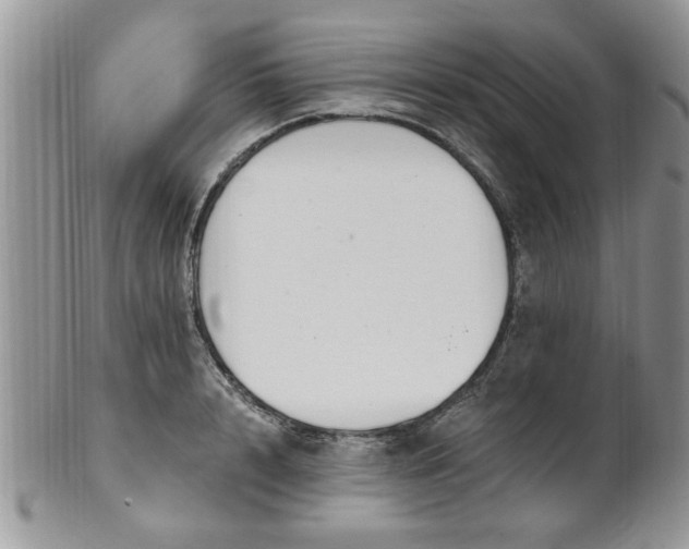 X0000101970848200807251209