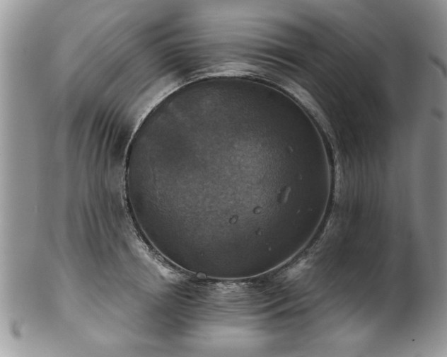 X0000101970850200807251209