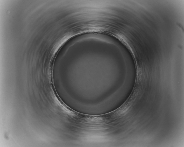 X0000101970851200807251209