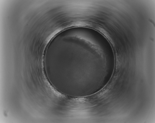 X0000101970853200807251209