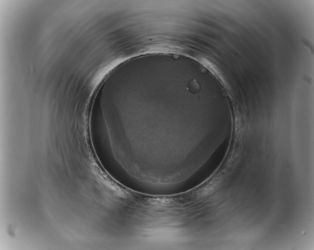 X0000101970854200807251209