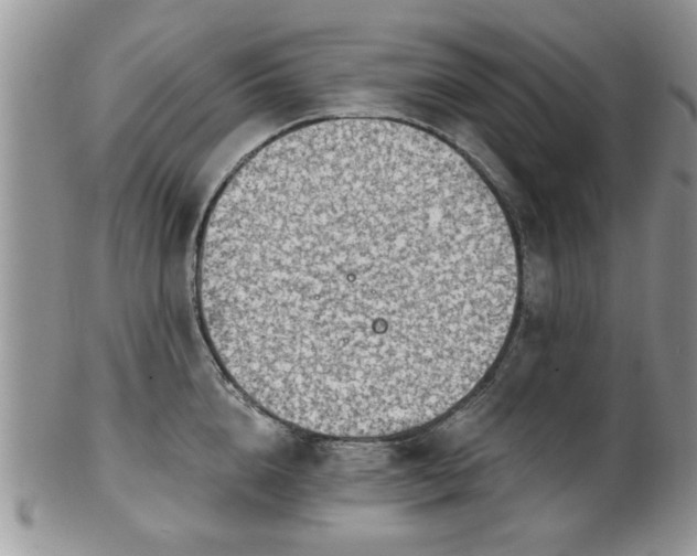 X0000101970856200807251209