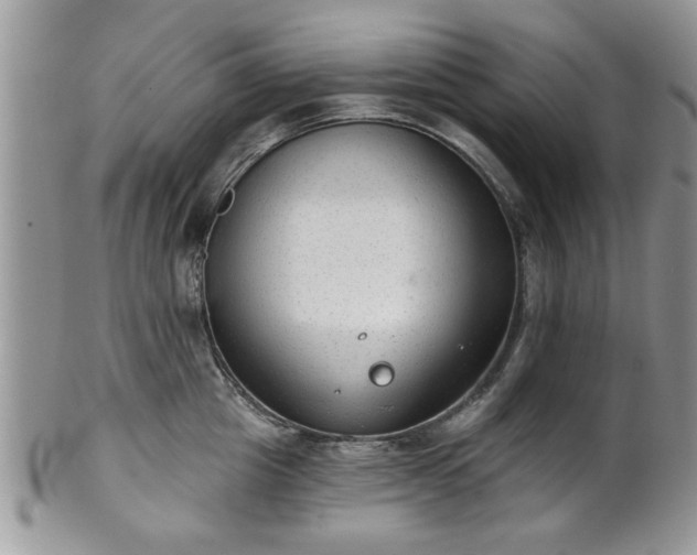 X0000101970857200807251209