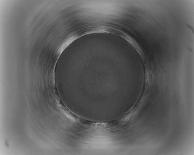 X0000101970858200807251209