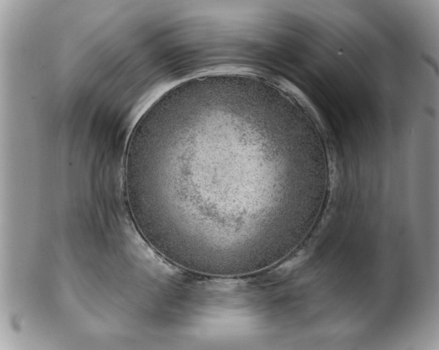 X0000101970860200807251209