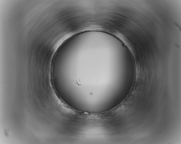 X0000101970861200807251209