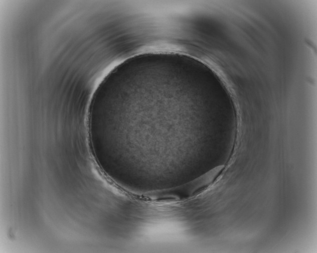 X0000101970864200807251210