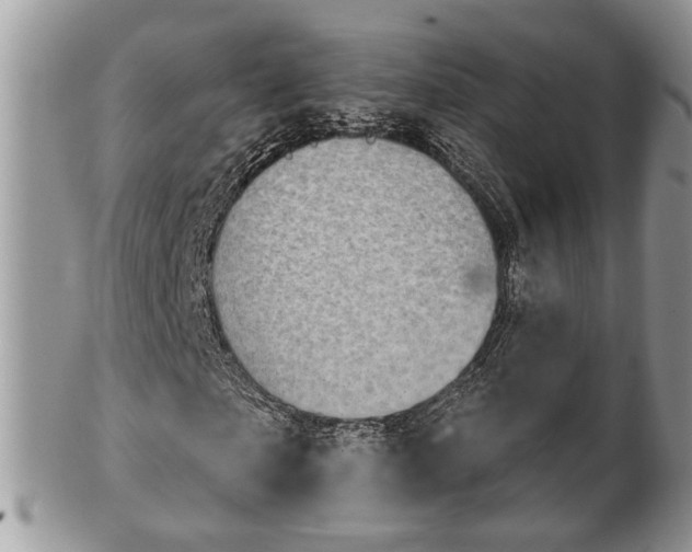 X0000101970865200807251209