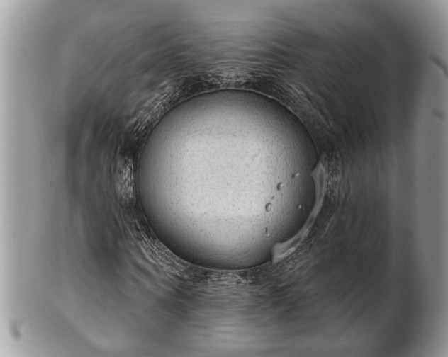 X0000101970866200807251209