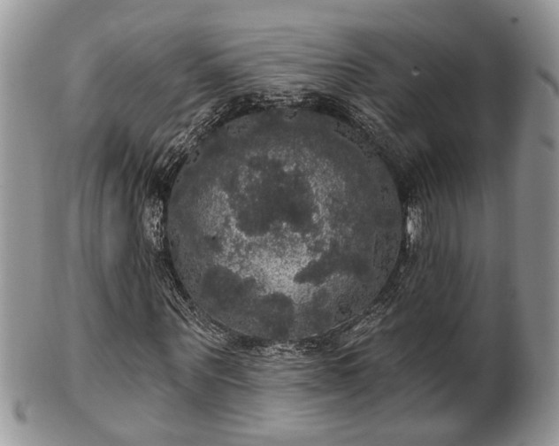 X0000101970867200807251209