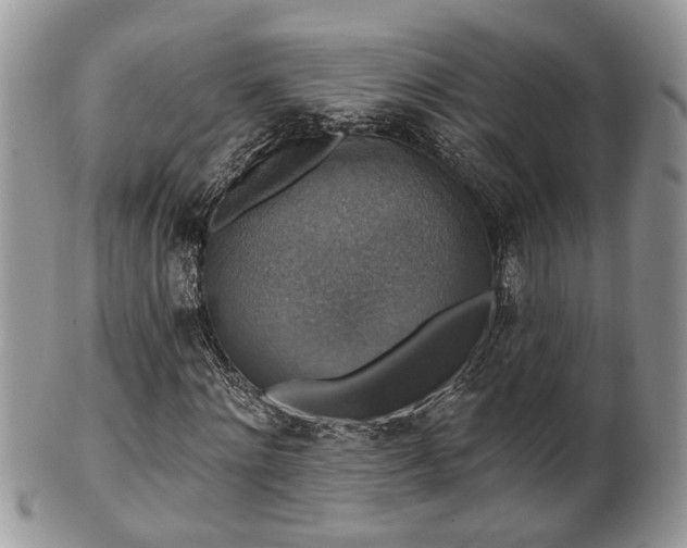 X0000101970868200807251209