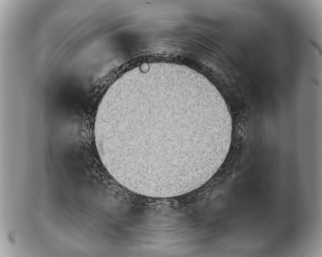 X0000101970869200807251209