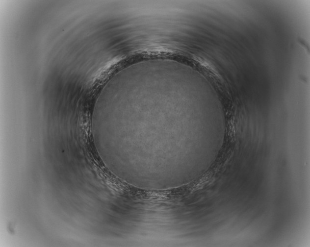 X0000101970870200807251209