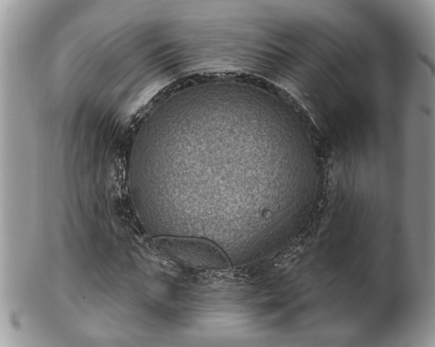 X0000101970871200807251209