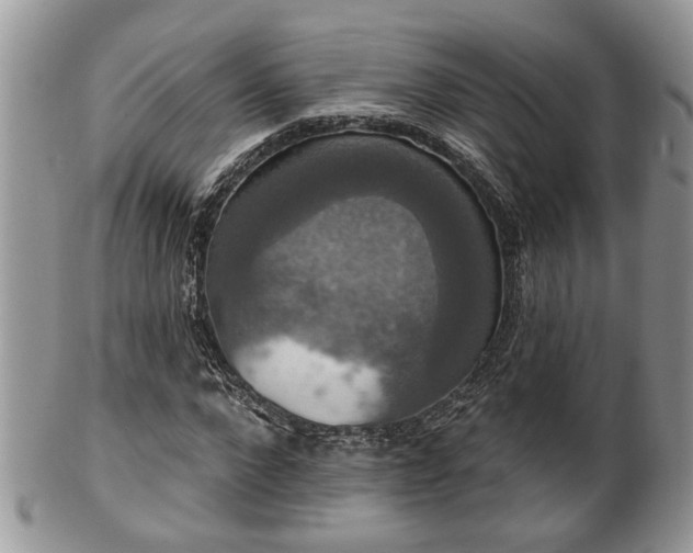 X0000101970872200807251209