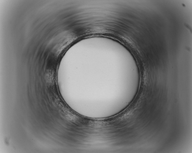 X0000101970873200807251209
