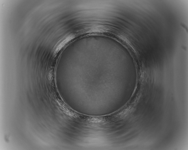 X0000101970874200807251209