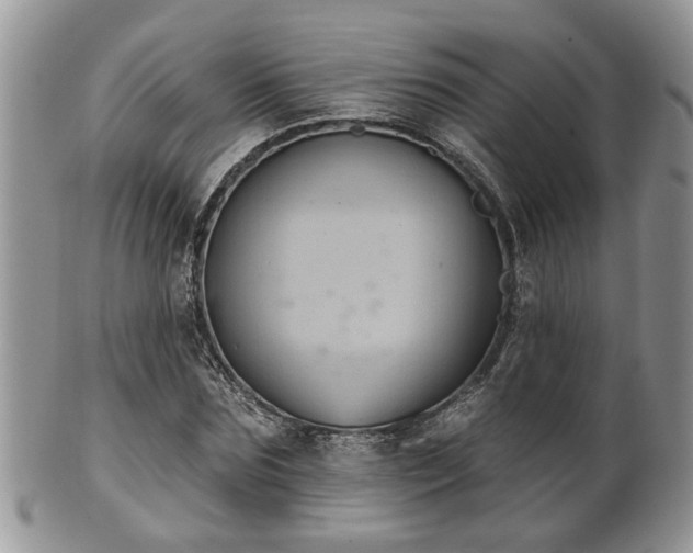X0000101970875200807251209