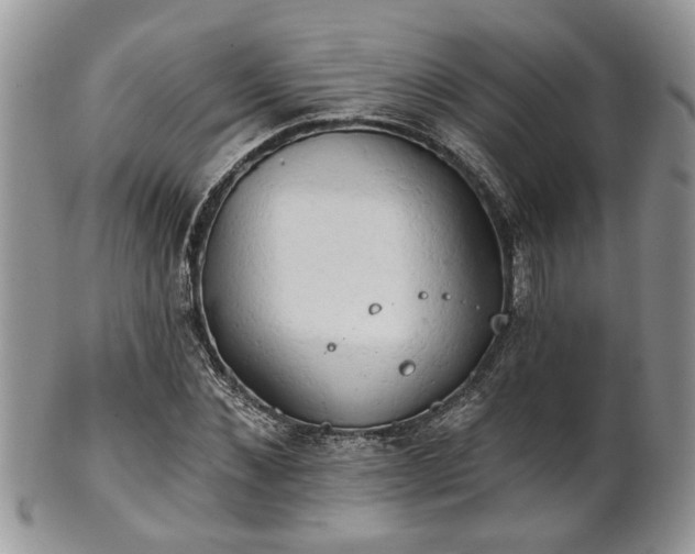 X0000101970876200807251209