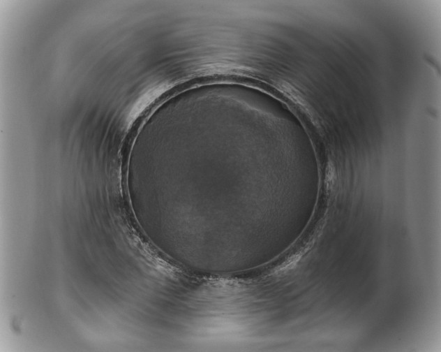 X0000101970877200807251209